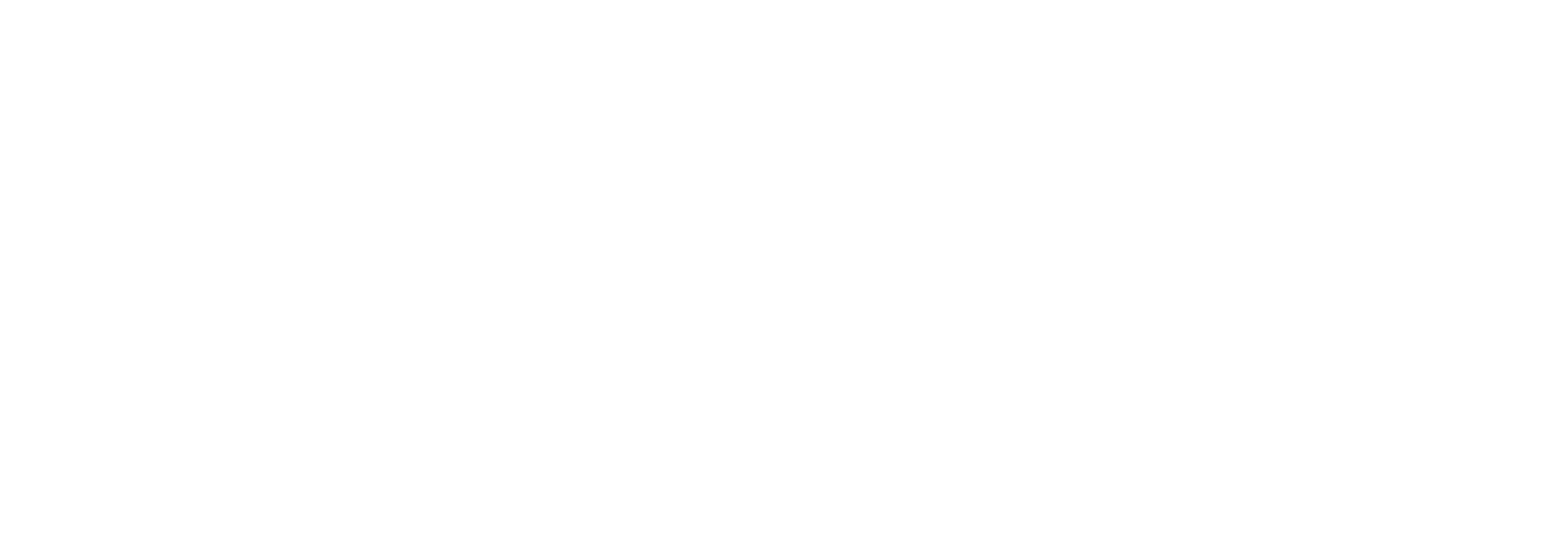 Logo LRV shop